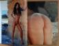 Preview: playboy 09 2013 content a